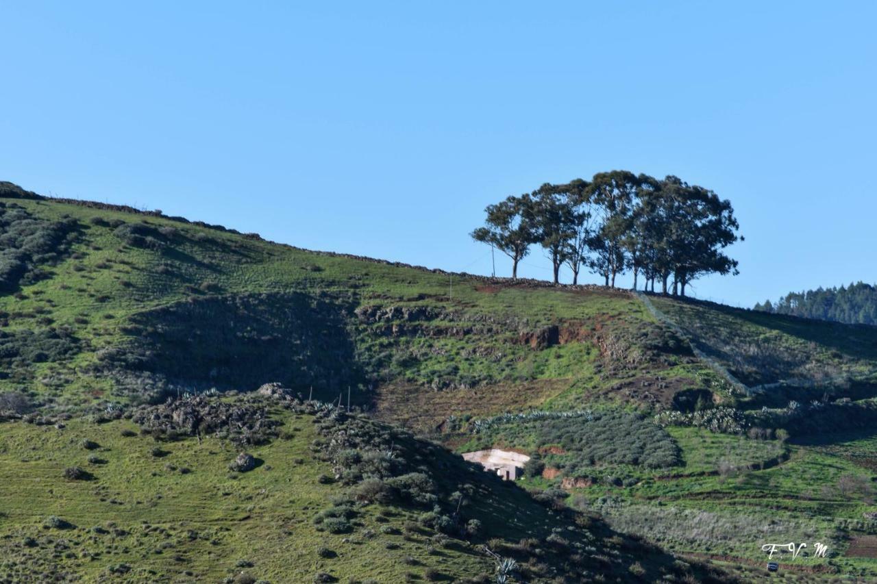 San Pedro  Casa Rural Zalemyヴィラ エクステリア 写真